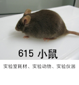 企業簡介